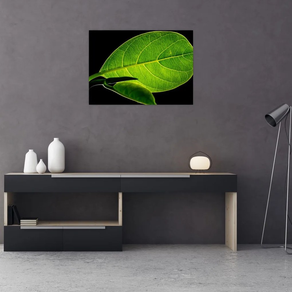 Tablou pe sticlă - frunză verde (70x50 cm)
