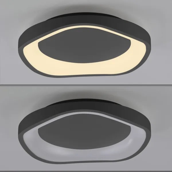 Schöner Wohnen 14233-18 - Lampă de tavan LED dimerizabilă MONTA LED/21W/230V neagră