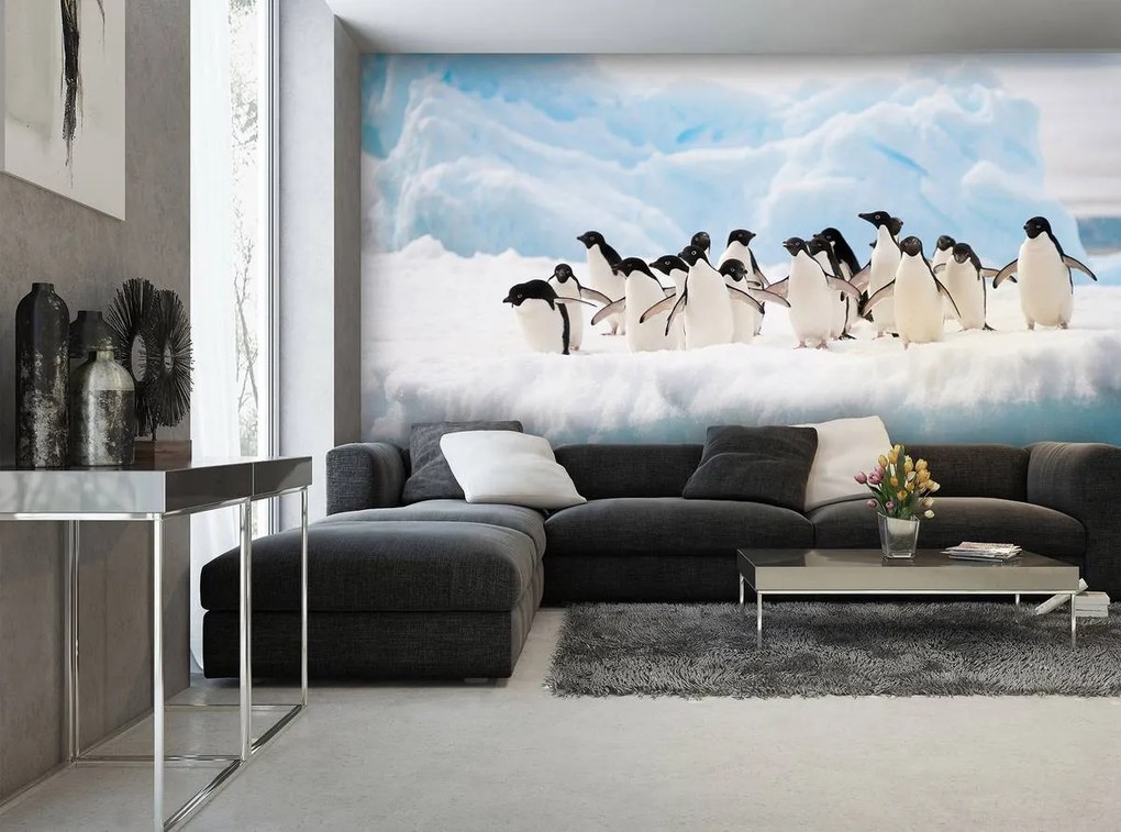 Fototapet - Pinguini (152,5x104 cm)