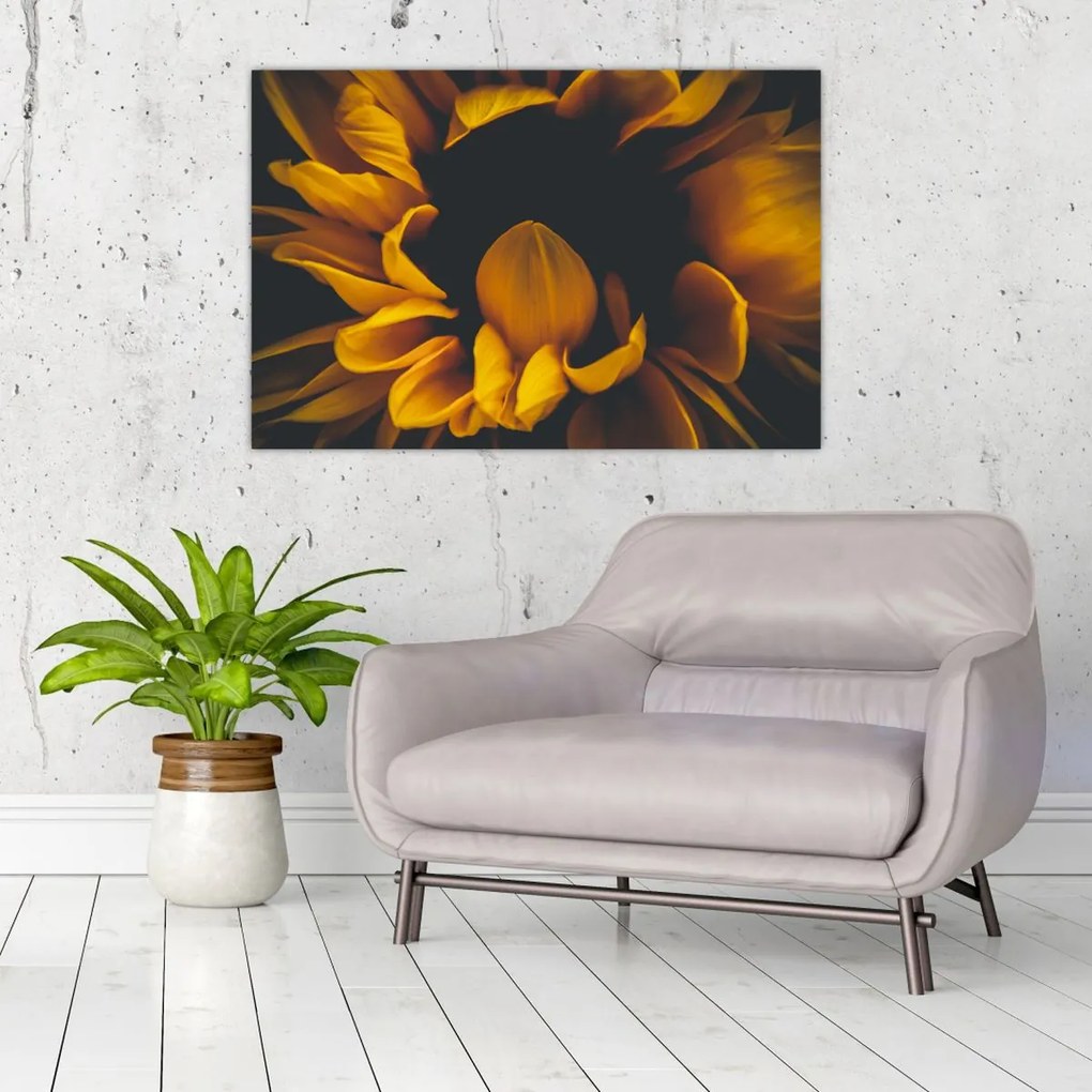 Tablou - Floarea-soarelui în fundal negru (90x60 cm)