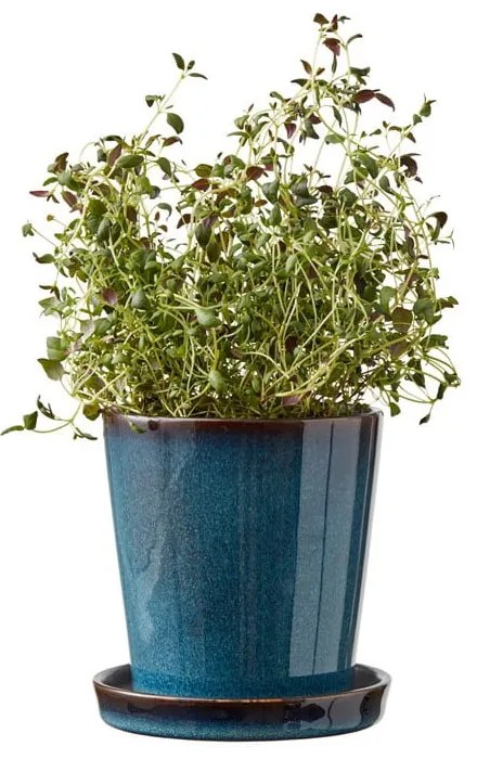 Ghiveci decorativ din gresie ø 10 cm Gastro Dark Blue/Black – Bitz