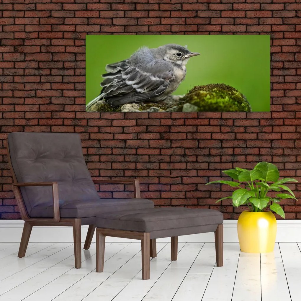 Tablou - Muscarul (120x50 cm)