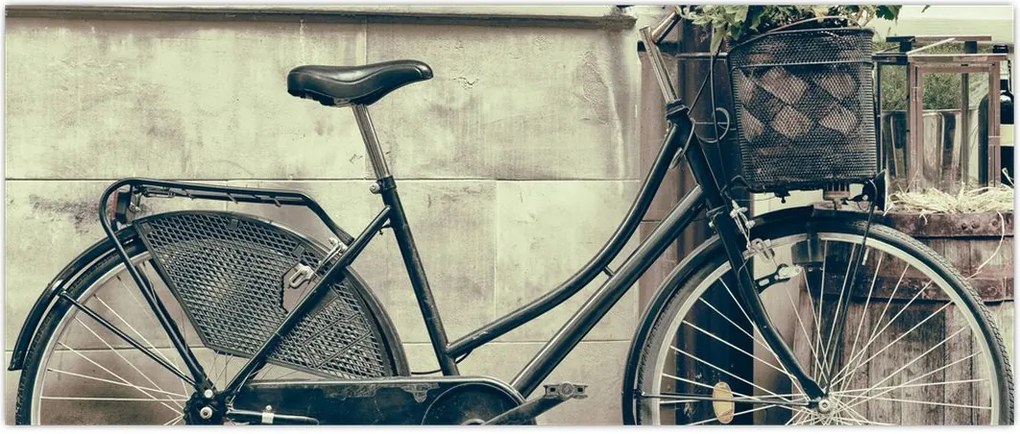 Tablou - Bicicleta de epocă cu flori (120x50 cm)