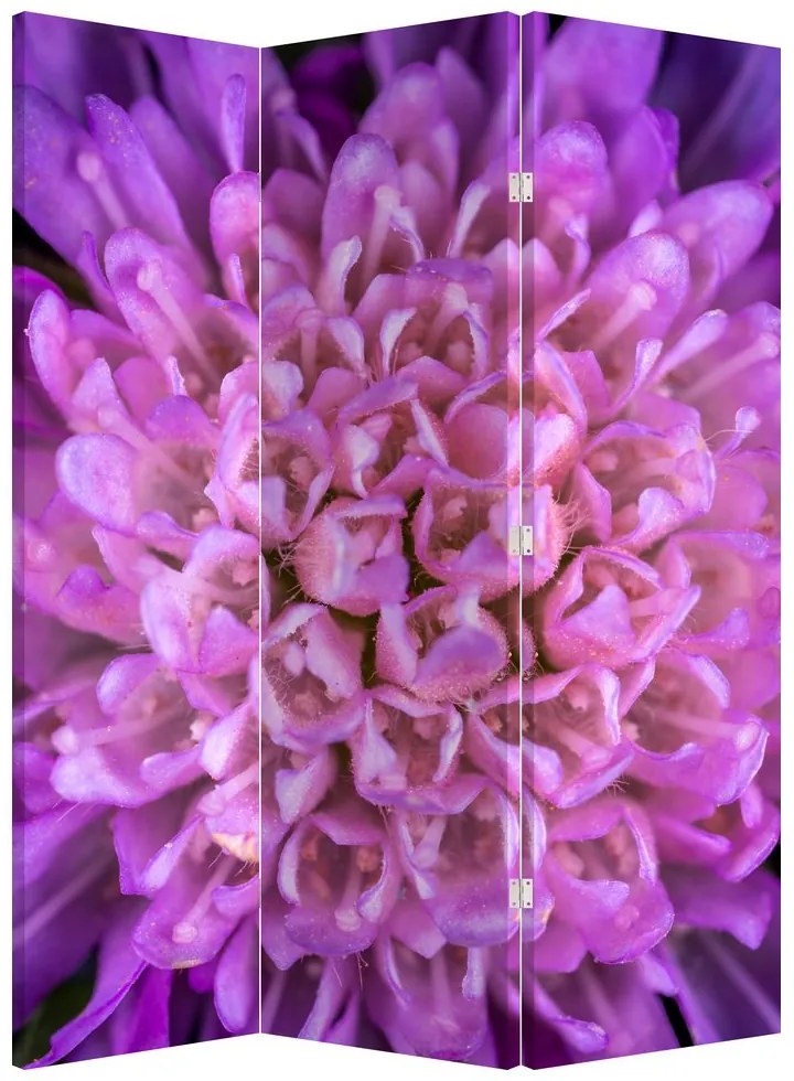 Paravan - Floare detailat (126x170 cm)