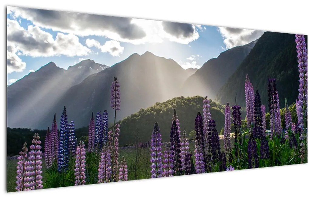 Tablou - scenariu cu flori de Lupin (120x50 cm)