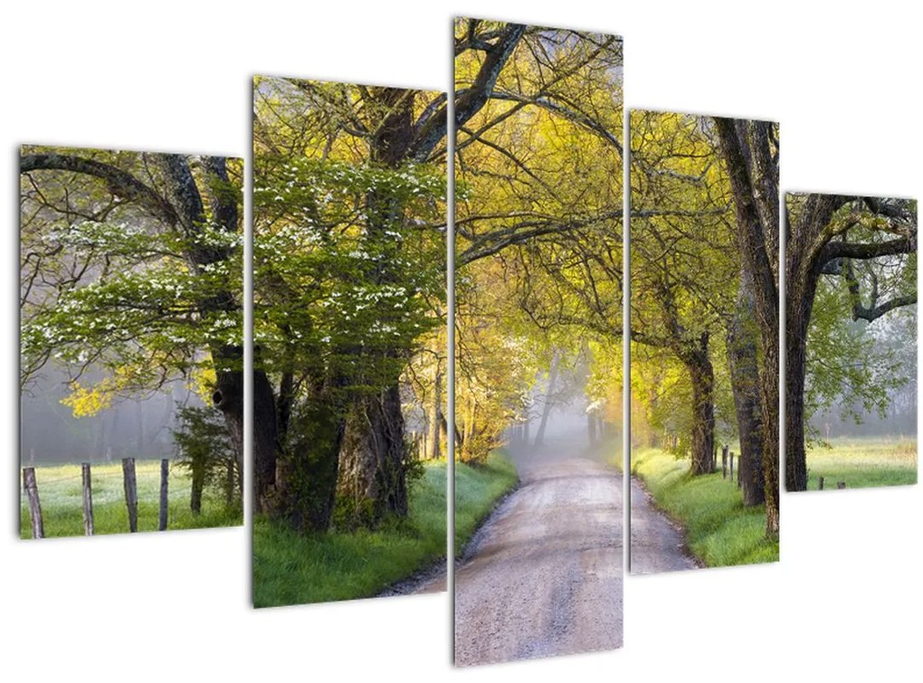 Tablou - Smoky Mountains, Gatlinburg, SUA (150x105 cm)