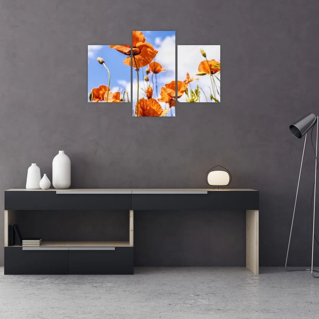 Tablou cu macii (90x60 cm)
