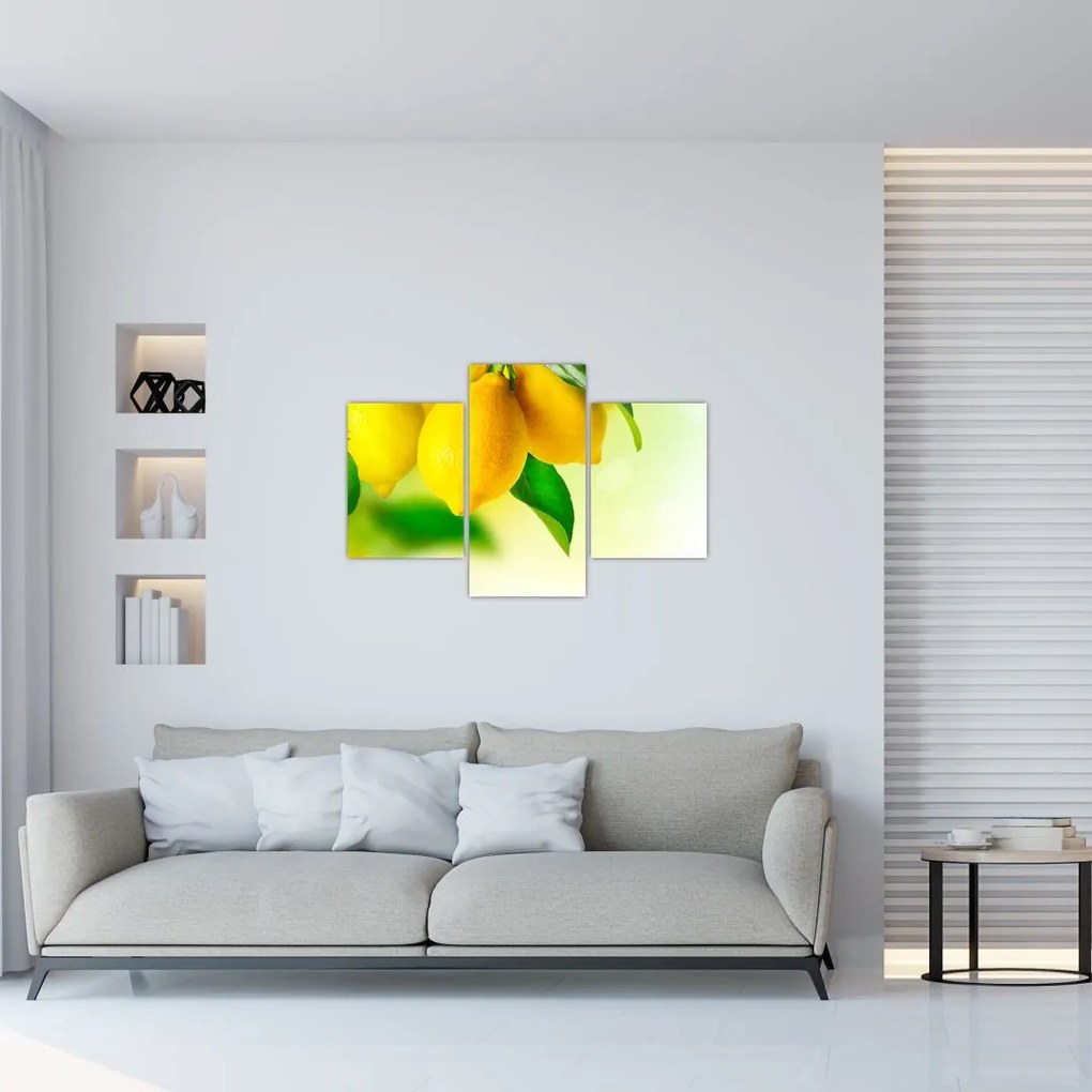 Tablou cu lămâi (90x60 cm)