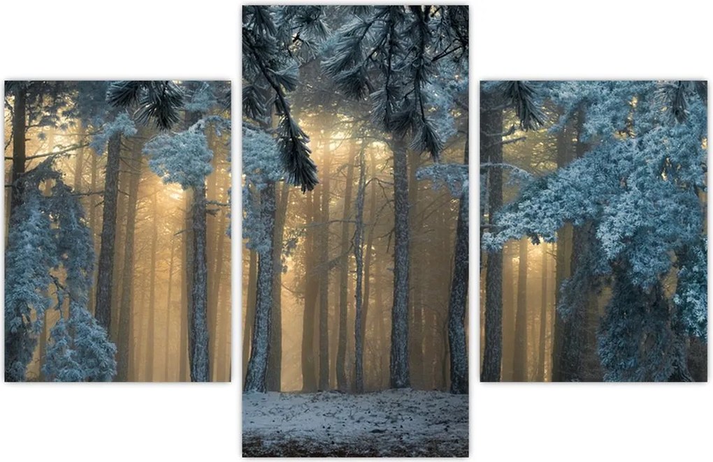 Tablou cu pădure înzăpezită (90x60 cm)
