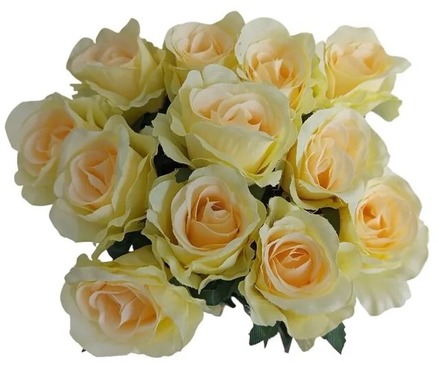 Buchet de trandafiri crem cu verde. 12 buc , h. 65 cm