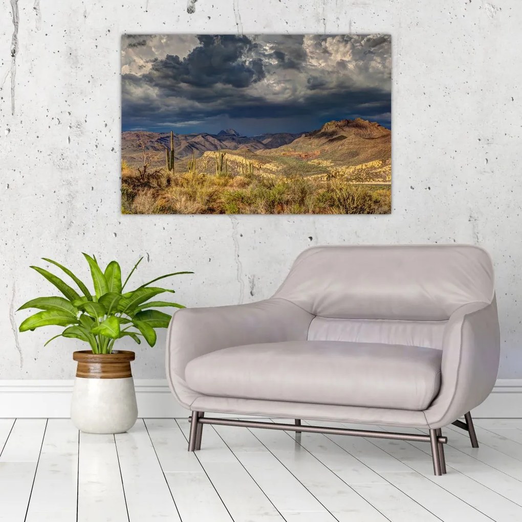 Tablou - cactușii în natură (90x60 cm)