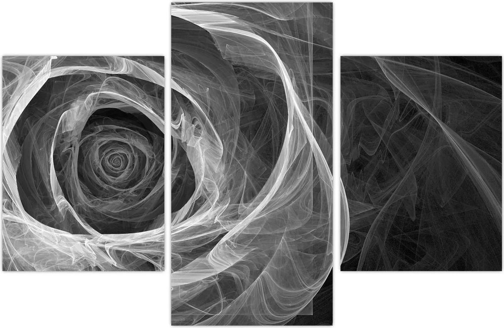 Tablou - Abstract trandafir negru și alb (90x60 cm)