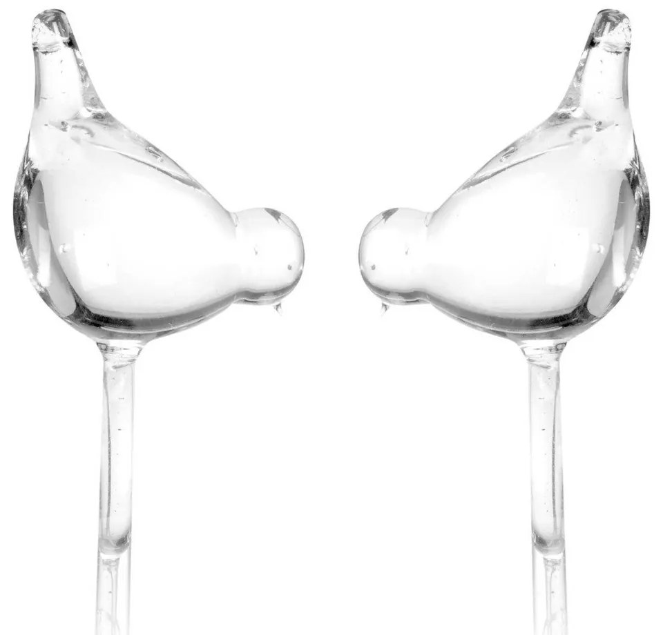 Irigator din sticlă pentru udarea plantelor PTAK - 2 bucăți în set