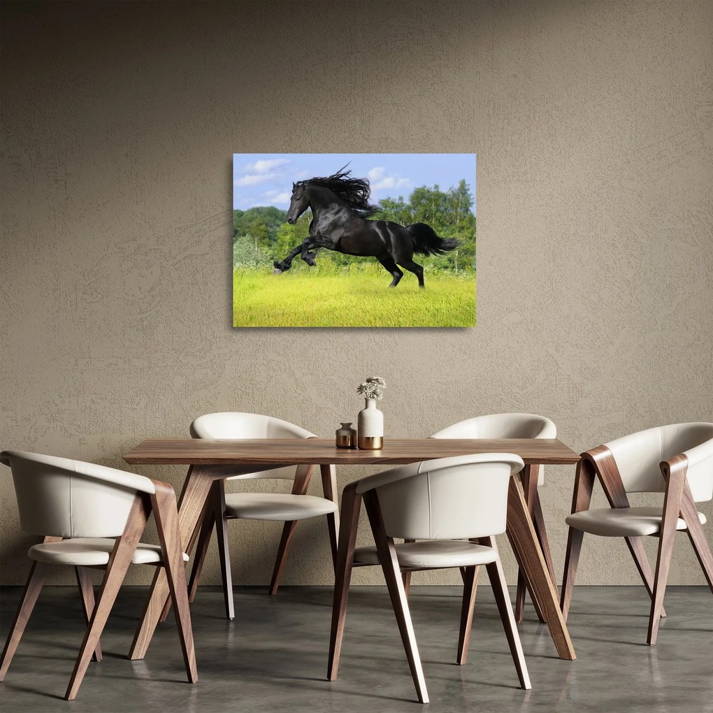 Tablou pe sticlă - Cal cu o coamă curgătoare (70x50 cm)