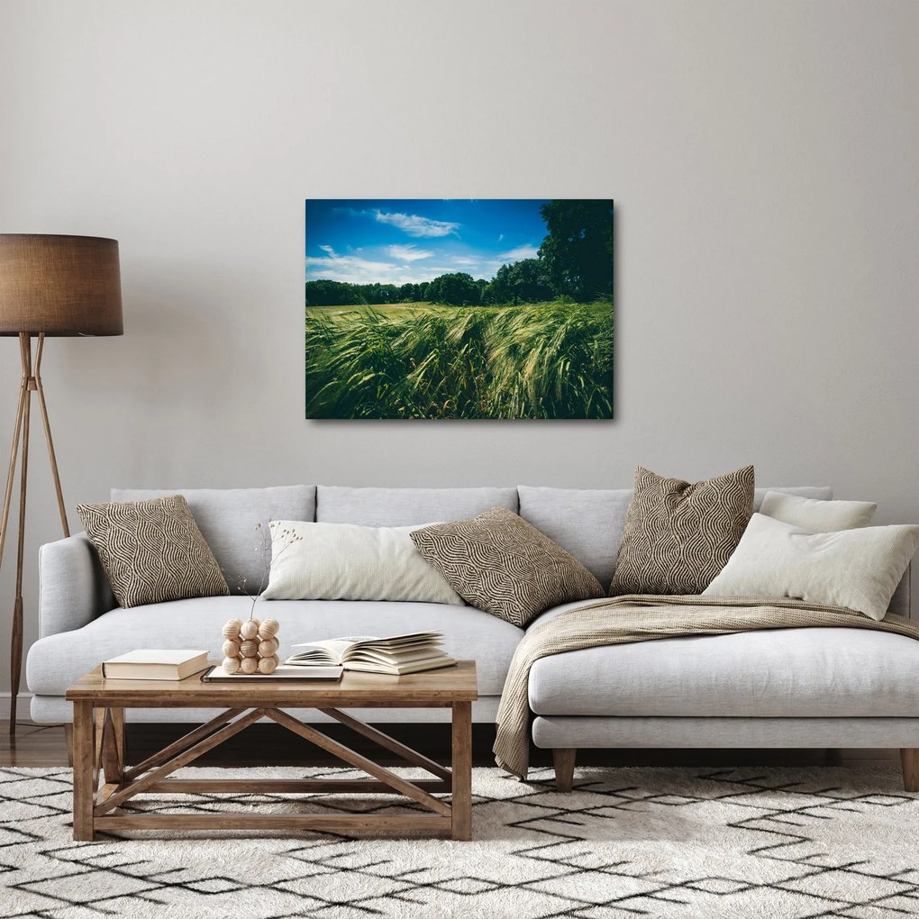 Tablou cu linca și pădure (70x50 cm)