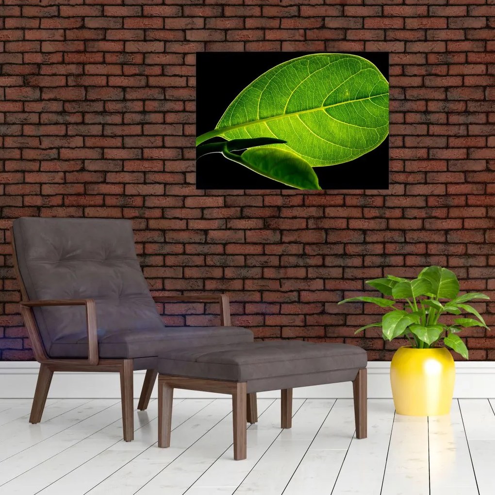 Tablou pe sticlă - frunză verde (70x50 cm)