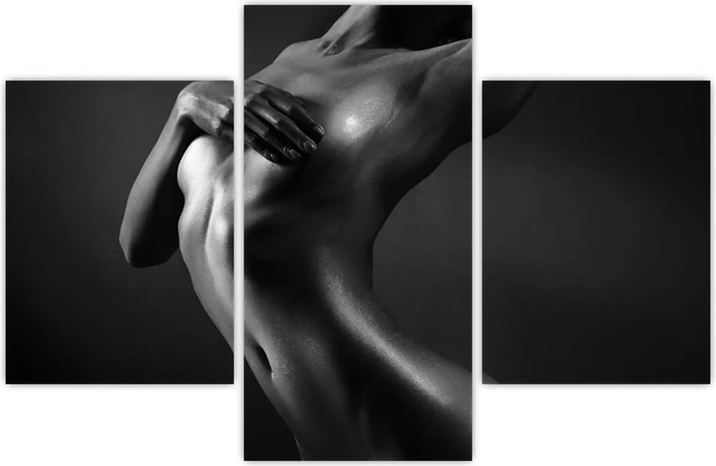 Tablou - Femei nud (90x60 cm)