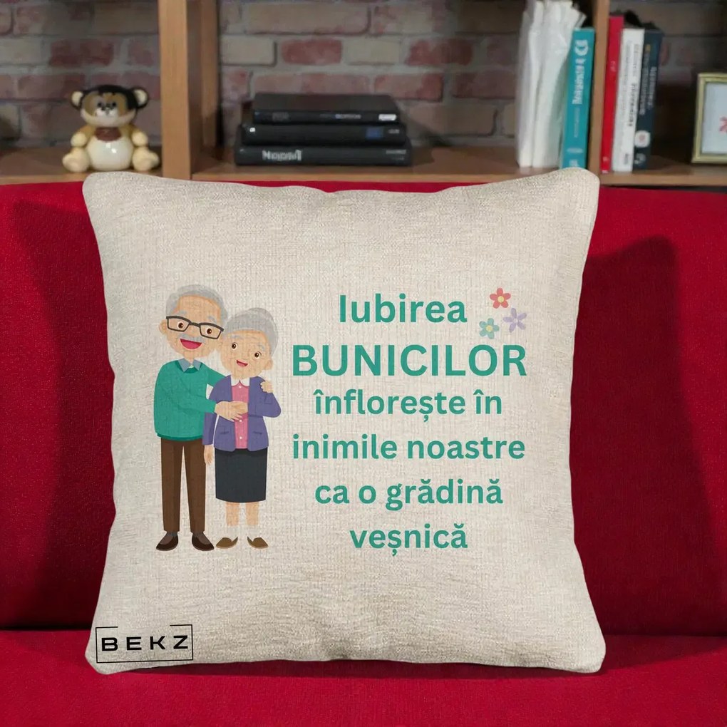 Cadou pentru Bunici - Perna Personalizata Bunicii Iubirea Infloreste Cuplu Senior Teal, 40x40 cm, Bej Canapea, Husa Detasabila, Perna Inclusa, BEKZ®