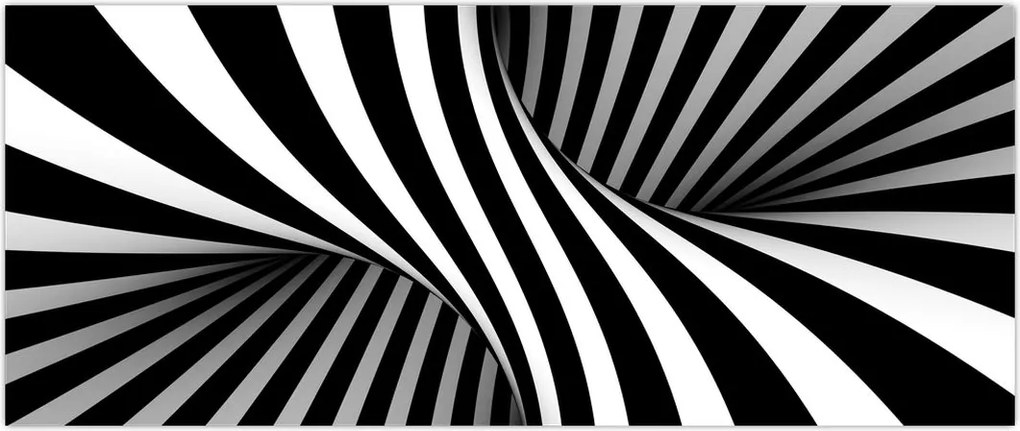 Tablou abstract cu dungi de zebră (120x50 cm)