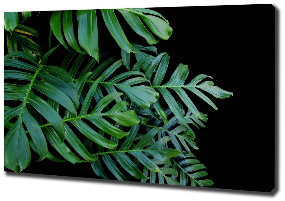 Print pe pânză Monstera
