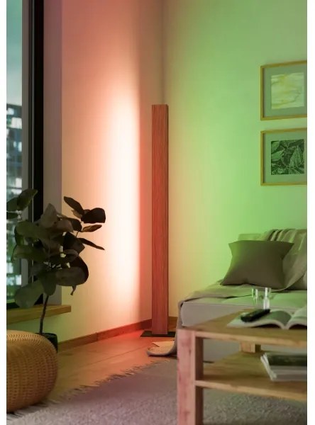 Lampadar LED RGBW dimabil Eglo 900392 ANCHORENA-Z LED/35W/230V