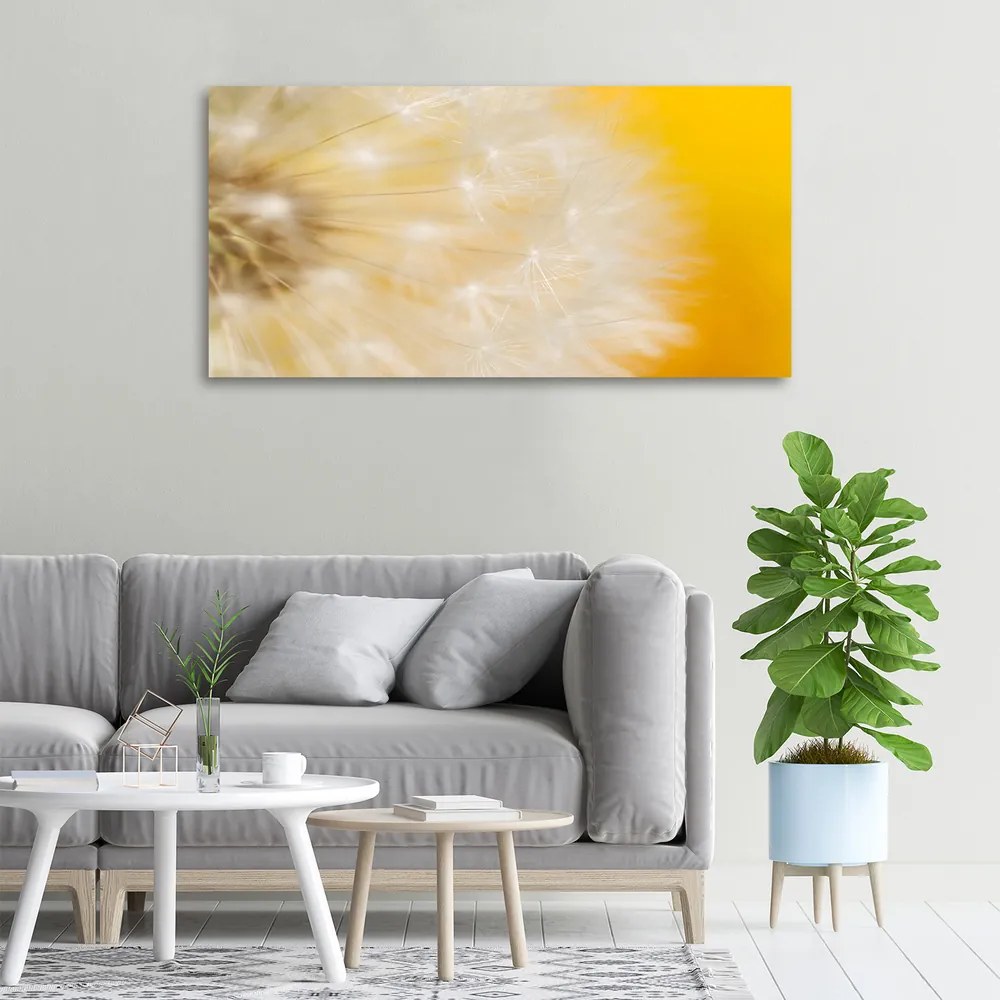 Print pe canvas Păpădie