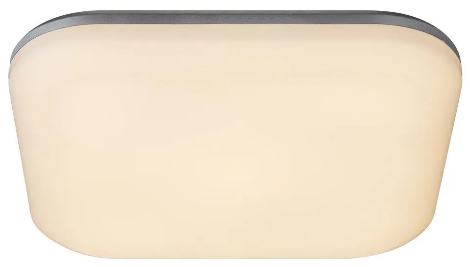 Globo 32119-24 - Plafonieră LED exterior DORI LED/24W/230V