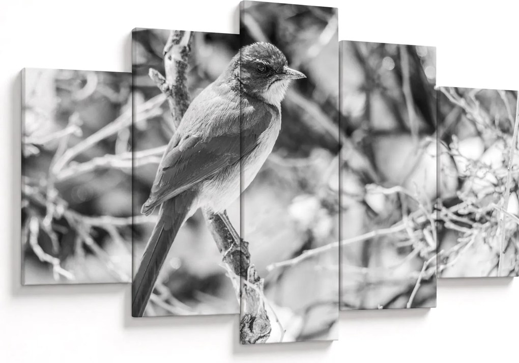 Tablou - Bluebird în timpul iernii (150x105 cm)