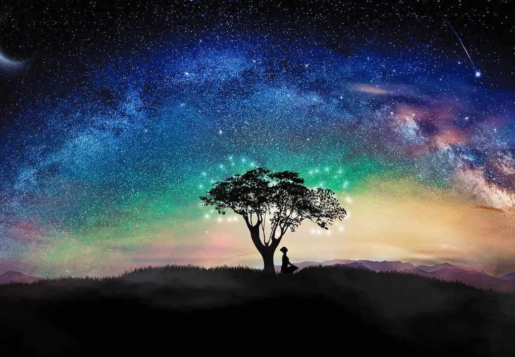 Fototapet - Aurora și copaci (147x102 cm)