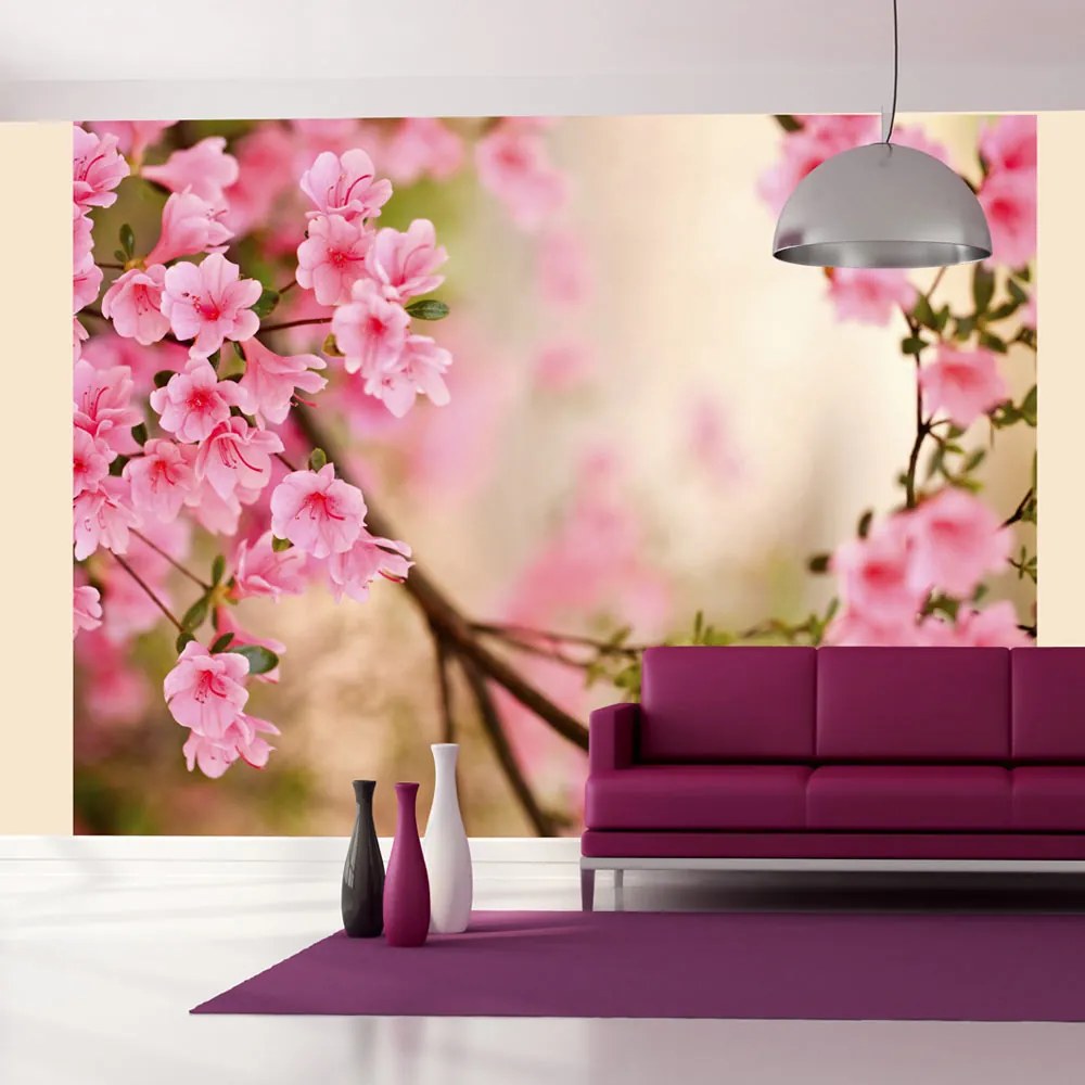 Fototapet Bimago - Pink azalea + Adeziv gratuit 200x154 cm