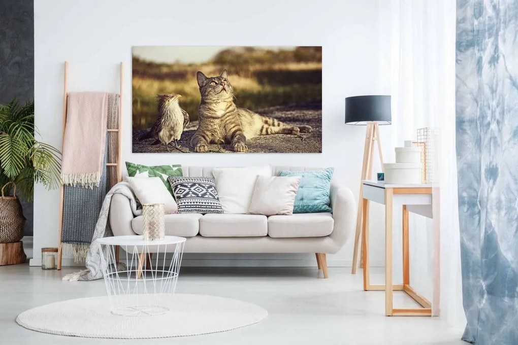 Tablou pasare si pisica - 90x60cm