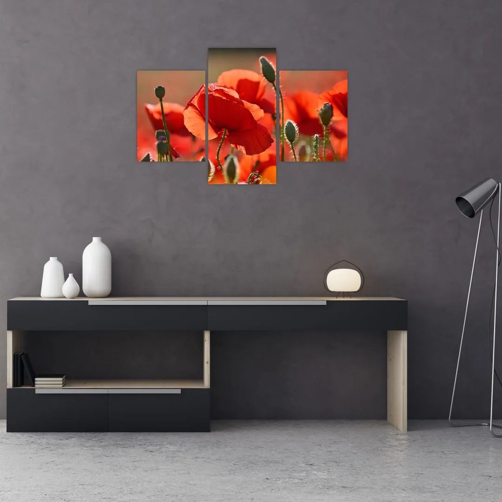 Tablou cu flori de maci (90x60 cm)