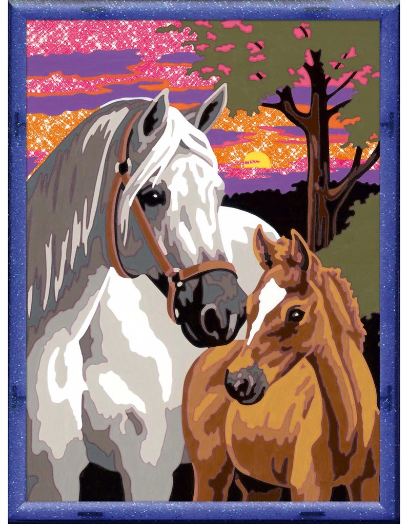 PICTURA PE NUMERE - CAI - RAVENSBURGER (RVSPBN20052)