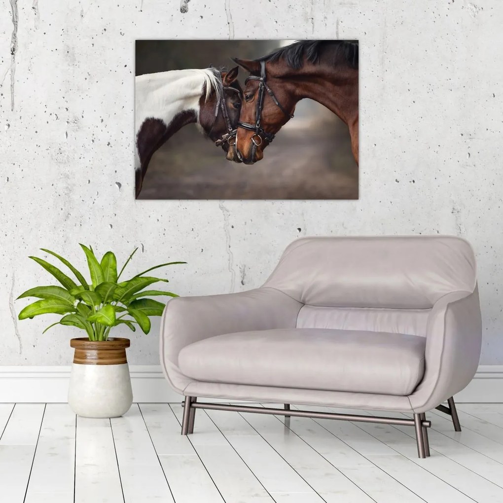 Tablou - Cai îndrăgostiți (70x50 cm)