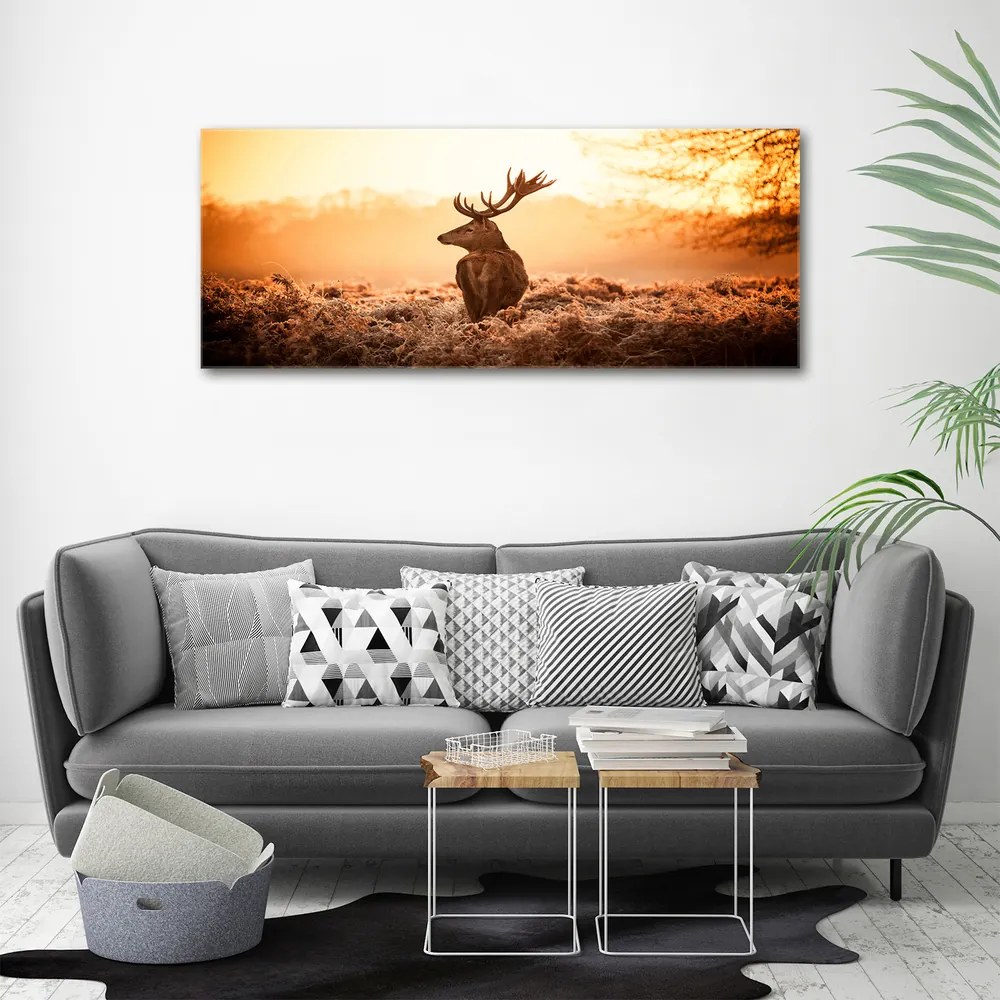 Print pe canvas Sunrise deer