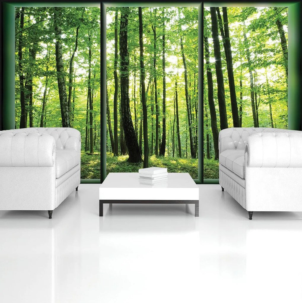 Fototapet - Pădure (152,5x104 cm)