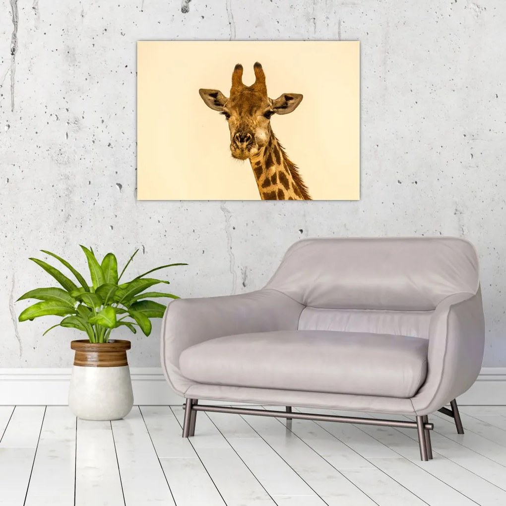 Tablou cu girafe (70x50 cm)
