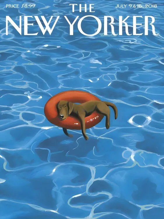 Ilustrație The NY Magazine Cover 202