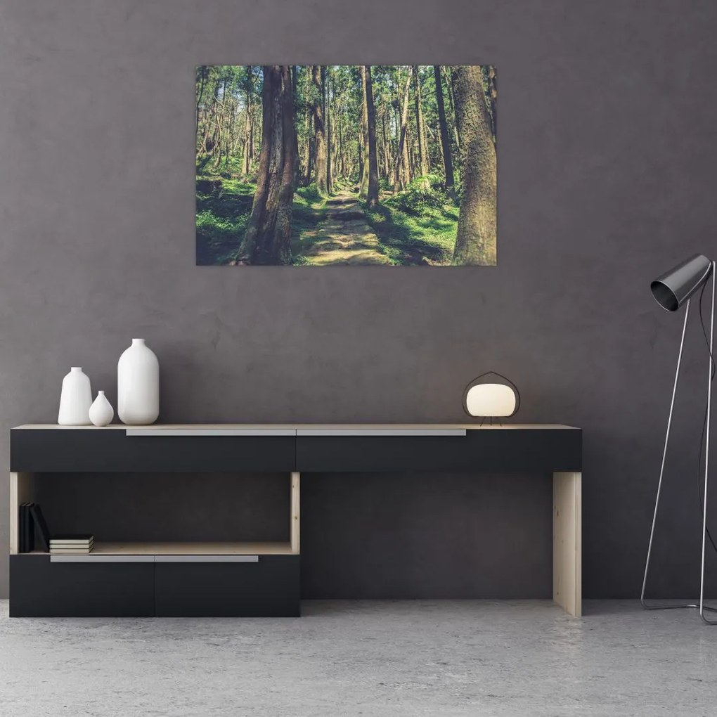 Tablou cu drum între copaci (90x60 cm)