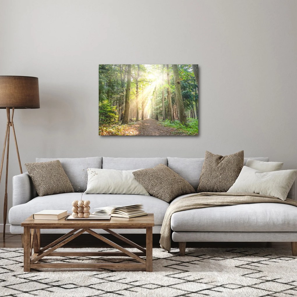 Tablou - Poteci în pădure (70x50 cm)