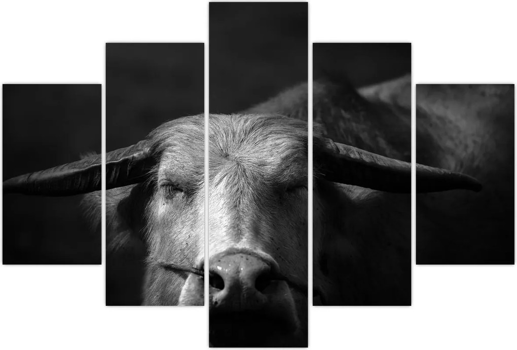 Tablou - Vacă (150x105 cm)