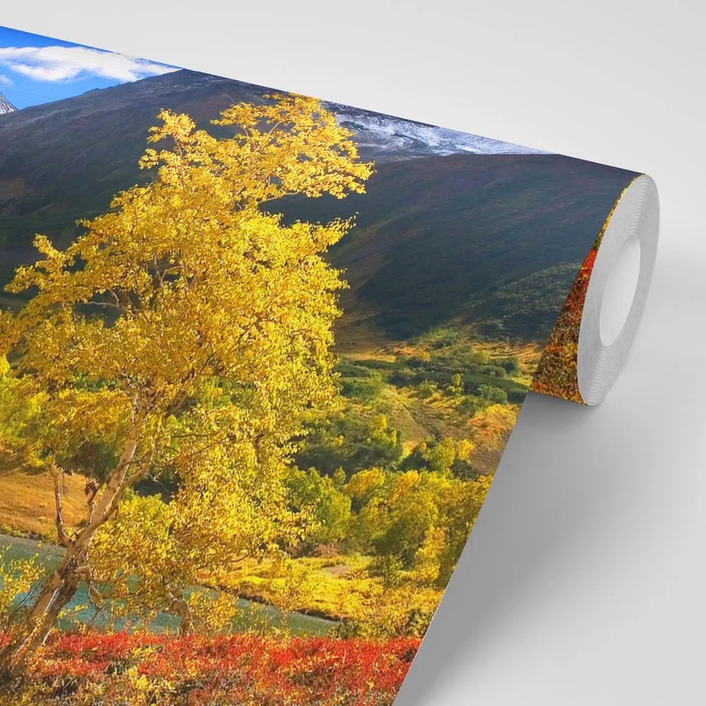 Fototapet autoadeziv natură minunată în Kamchatka