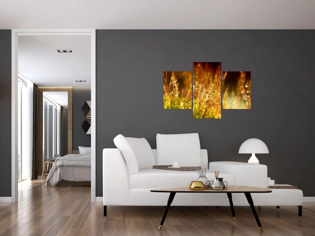 Tablou - Detaliu rouă (90x60 cm)