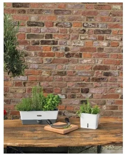 Recipient pentru ierburi proaspăt tăiate Cole&Mason