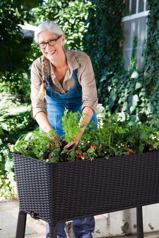 Ghiveci EASY GROW, antracit