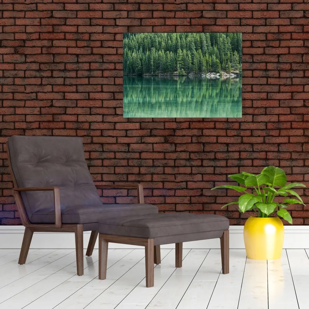Tablou pe sticlă - Coniferi lângă lac (70x50 cm)
