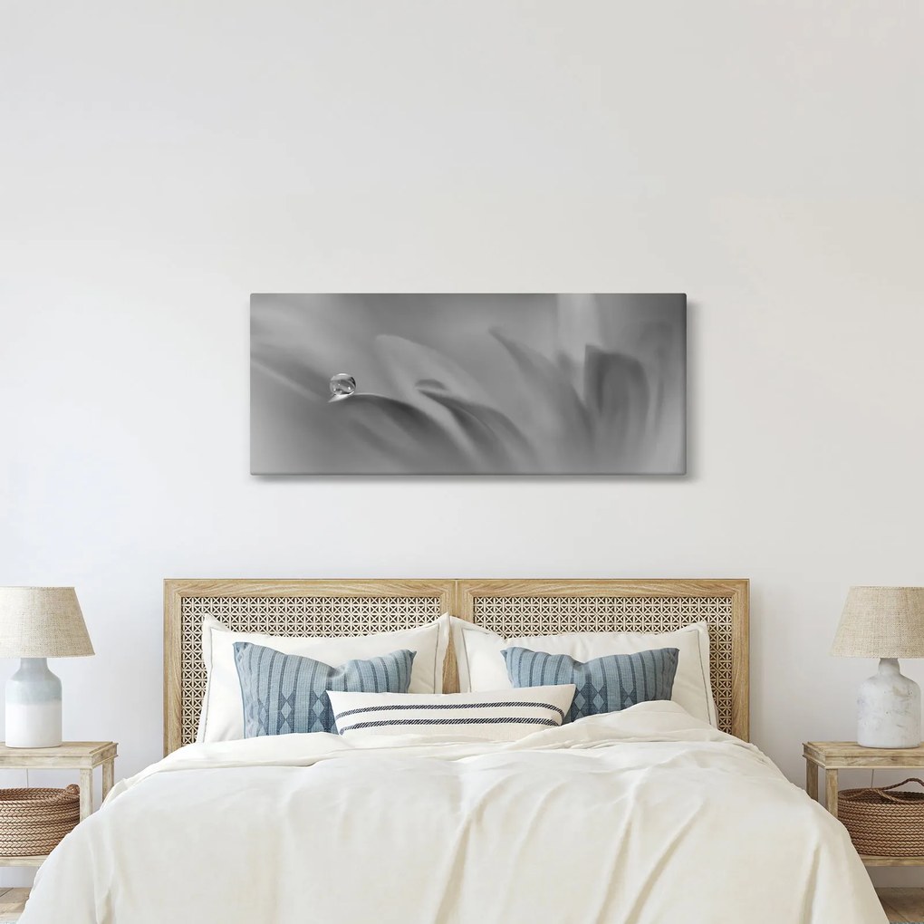 Tablou - Picătură pe floare,alb-negru (120x50 cm)