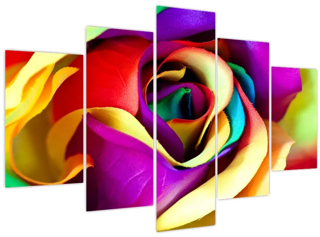 Tablou - Trandafir colorat (150x105 cm)