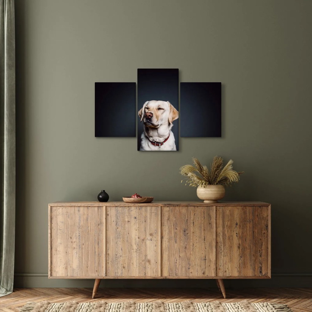 Tablou cu labrador (90x60 cm)