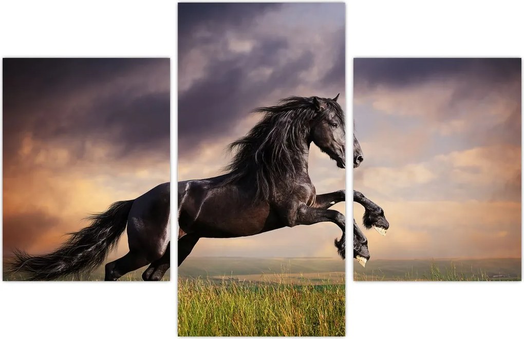 Tablou - Cai (90x60 cm)